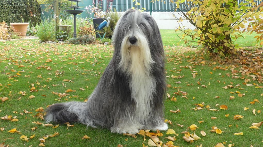 Diaporama Octavia * photos du 15.10.2025