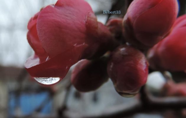 une goutte d'eau magique