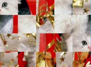 Oceandesjeux - Christmas kitten swap puzzle