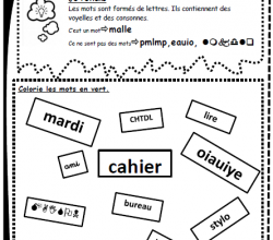 Clarté cognitive:  lettres, mots, phrases