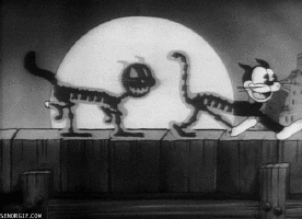 Les chats font chanter * μελοποιείται η γατα
