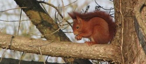 ...il faisait froid...!