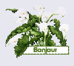 Petite balade au jardin