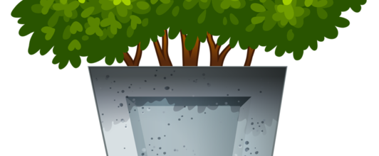 Ѽ Vegetation 