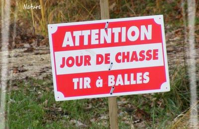 Le weekend dernier ...