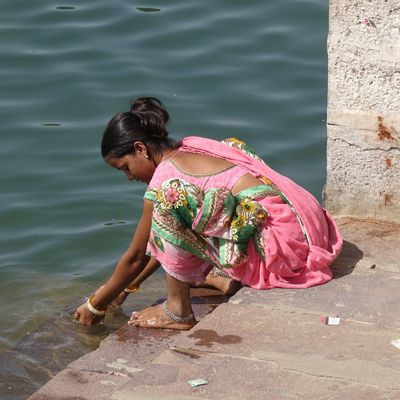 Rajasthan ~ Scènes de vie