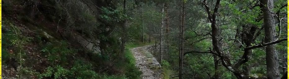 Le Chemin de Saint Guilhem #5 Le Causse Méjean