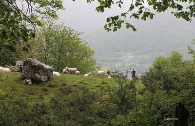 Escapade verte dans les Pÿrénées
