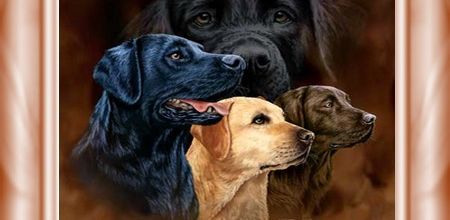 Entrainement avec la Team black and white (suite)