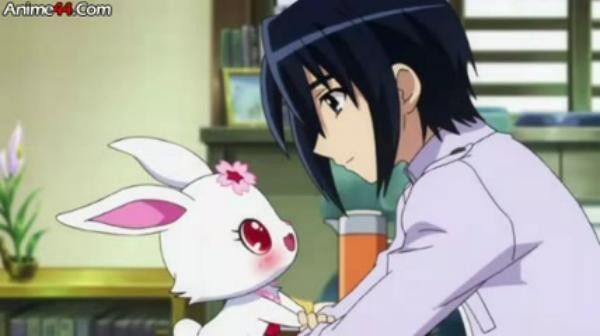 jewelpet