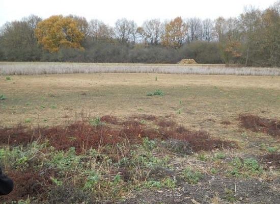 Poème de Claude Roy ( A la lisière du temps)