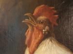 Poulet de Bresse ... Expo Bourg en Bresse