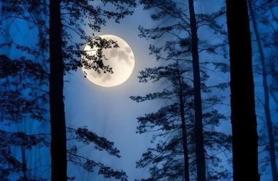 La lune en novembre 2025