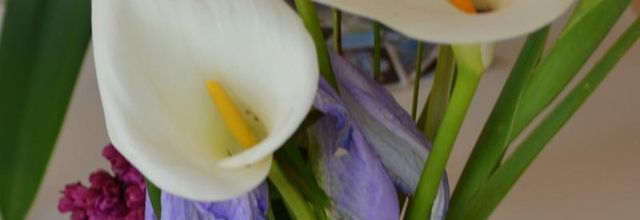  Arums 