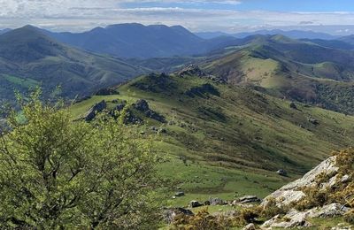 Pyrénées-Atlantiques
