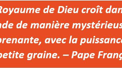 Tweet-... la puissance de la petite graine. – Pape François
