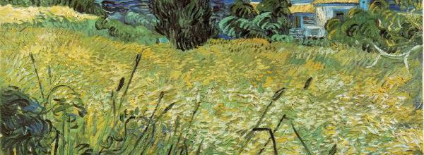 Samedi - Un Van Gogh : Champ