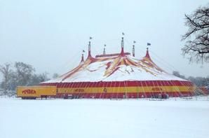 Cirque mort, Gilles Sebhan (Rouergue noir)
