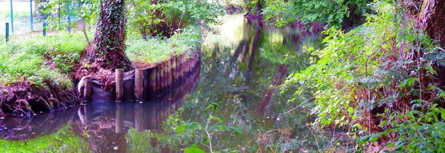 une photo de nature !