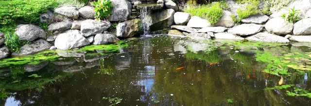 jardin exotique roscoff(3)