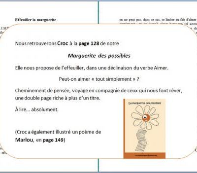 Une marguerite