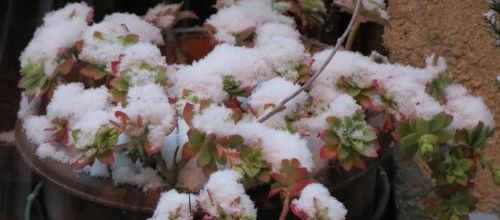Il neige en Provence !