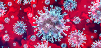 virus