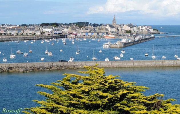 Vue sur Roscoff (26)