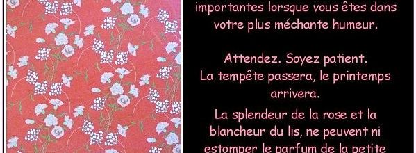 REALITE DE LA VIE