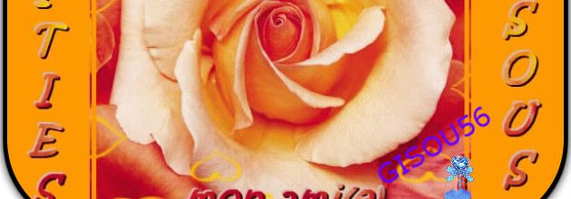 LA ROSE DE L AMITIE