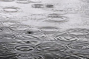 Ce que dit la pluie