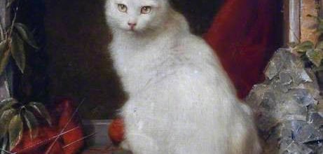 Tableau du samedi 215 : Chat blanc