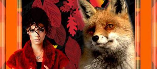 Renard