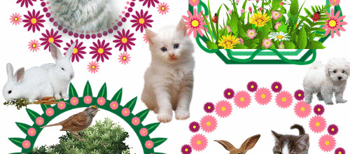 CREA CADRE ANIMAUX