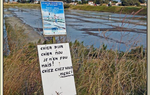 Avertissement : Chier dur, chier mou ... D'accord, mais faire 2 X 520 km chaque jour, NON ! - Ars-en-Ré - Ile de Ré - 17