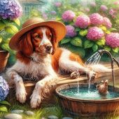 Chiens puppies 31 - Dessins/Images coup de coeur
