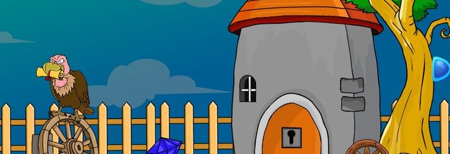 American wirehair cat escape