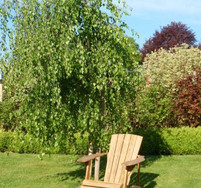 Le jardin en émoi...