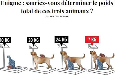 EB - La petite énigme d'avril 2022 - poids des animaux...