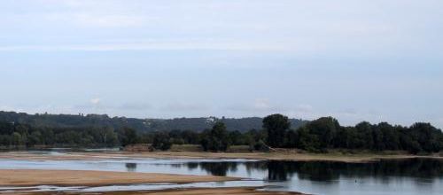 Lundi 31.07 au dimanche 06.08 + Bonus