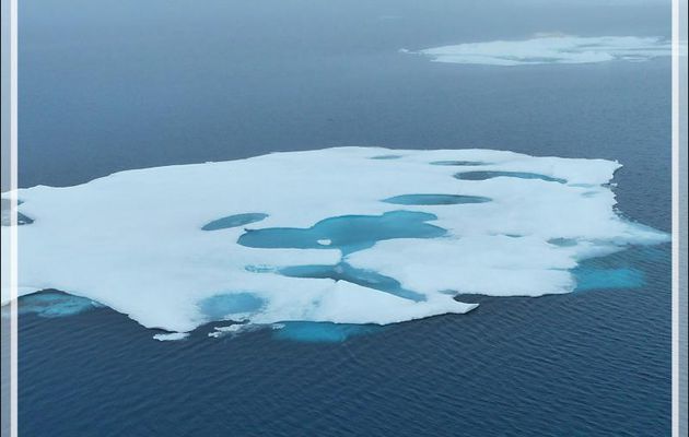 Toute la matinée s'est passée à naviguer, dans une brume tenace, au contact d'une banquise plus ou moins compacte, à la recherche de morses - Mer des Tchouktches - Alaska