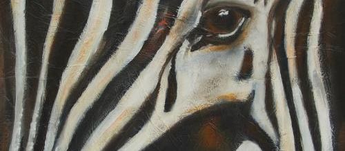 "UN ZEBRE"