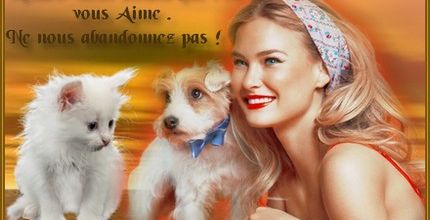  Pas d'abandon , ils vous aiment tant .