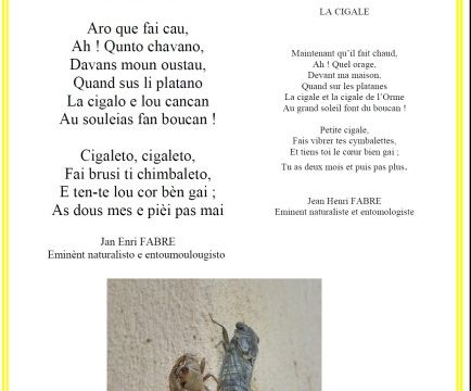 Vaqui l'estiéu e li cigalo !