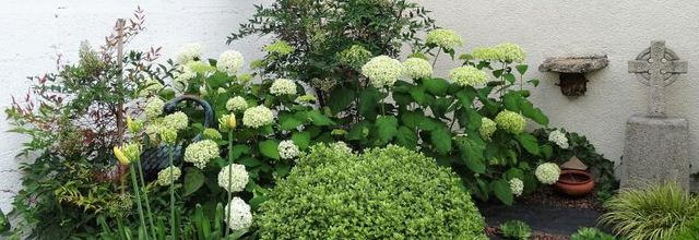 Voyage au jardin