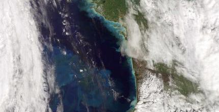 efflorescence algale dans le Golfe de Gascogne
