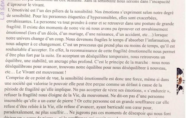La sensibilité (florale) avec de belles orchidées