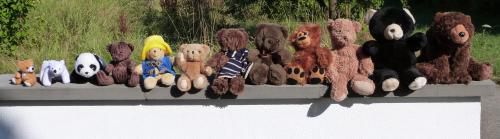 Photo de famille