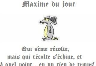 Qui sème, récolte, mais...