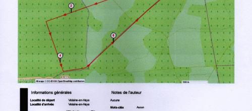 RANDO DU SAMEDI 15 NOVEMBRE A VELAINE EN HAYE
